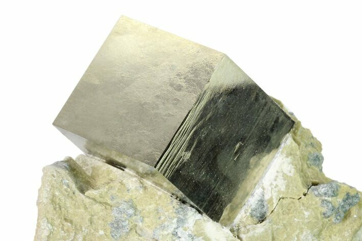 Natural Pyrite Cube In Rock - Navajun, Spain #144043